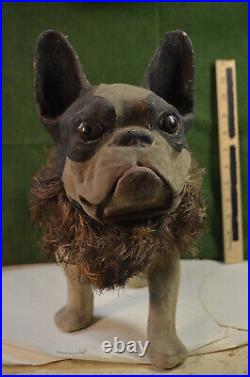 French bulldog bobble head toy, American made, early 19 th cent. 16 x 14 x 6