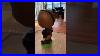 Iowa_Hawkeyes_Football_Vintage_Nodder_Bobblehead_From_The_60_S_01_as