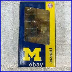 Vintage Charles Woodson Michigan Wolverines Bobblehead Heisman Big House Legends