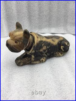 Vintage Dog Carnival Nodder Coin Bank Antique Original Boxer Early Unique Rare
